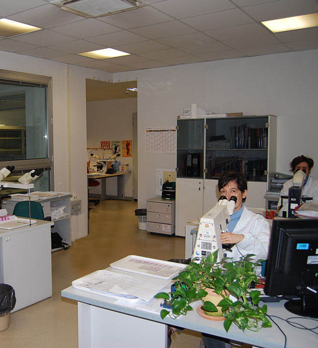 chirurgia senologia breast unit bergamo est